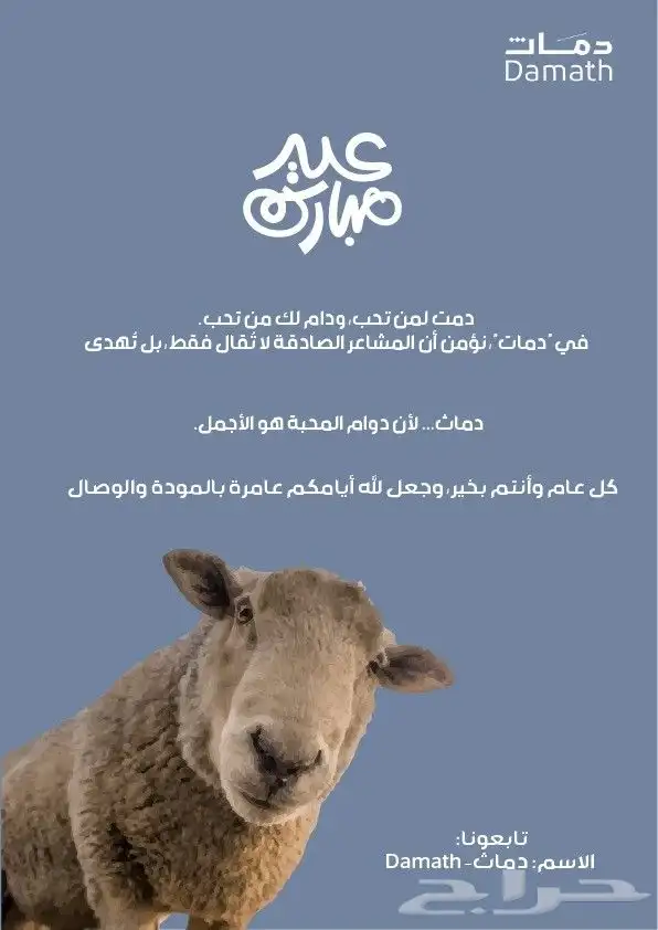 مصممة جرافيك 10
