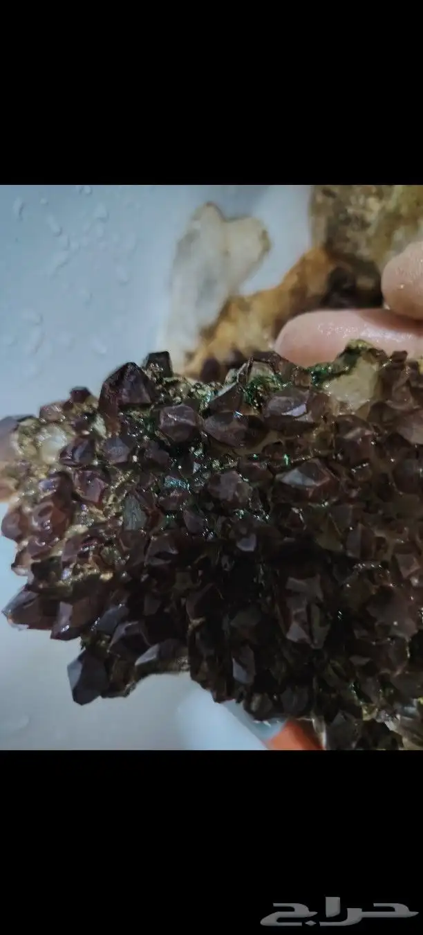 من اندر انواع الحيود الحاملة للاحجار الكريمة من نجد العذية 7