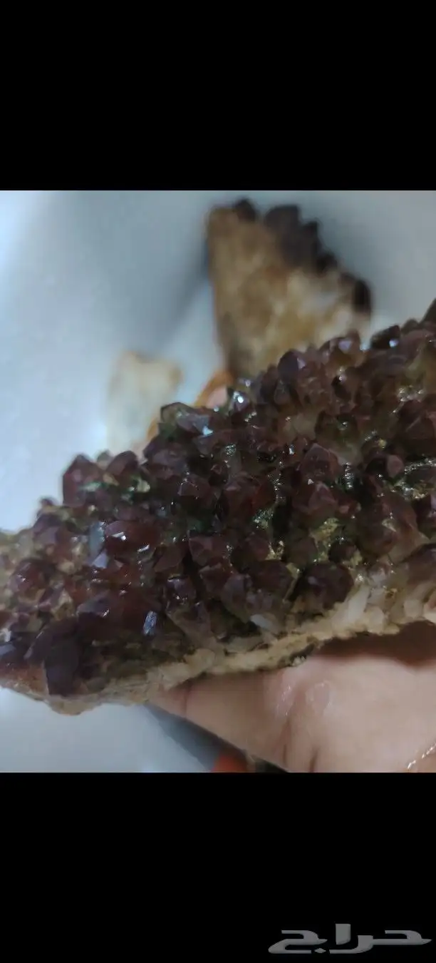 من اندر انواع الحيود الحاملة للاحجار الكريمة من نجد العذية 3