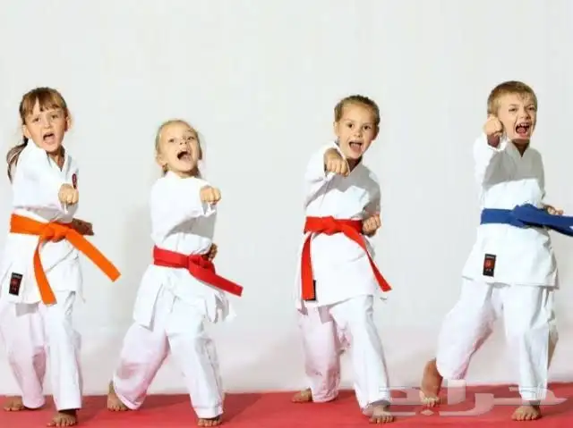 لسه مكملين تدريب كاراتيه دفاع عن النفس تخسيس برامج رياضيه 1