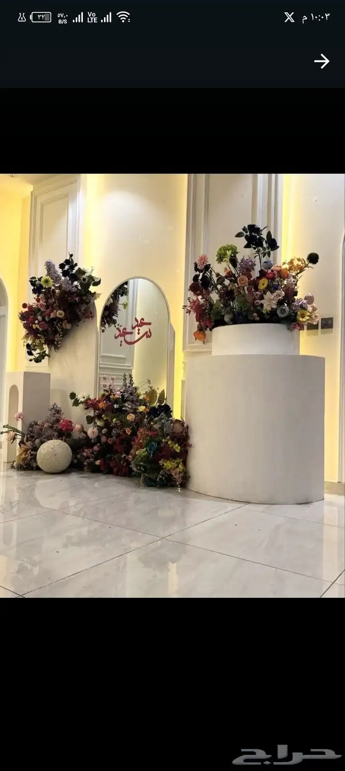 كوشة ملكة 6
