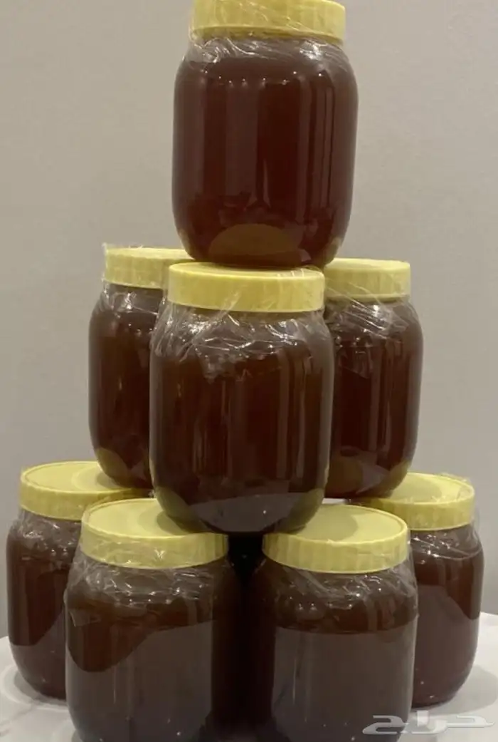 بكجات مفيد لذيذ صحي.. سدر جبلي علاجي صبار الوفيرا شاي ازرق 2