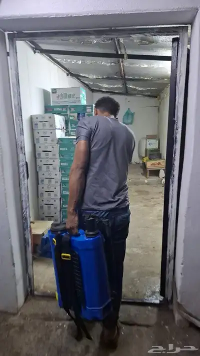 شركة مكافحة حشرات بالطائف 0