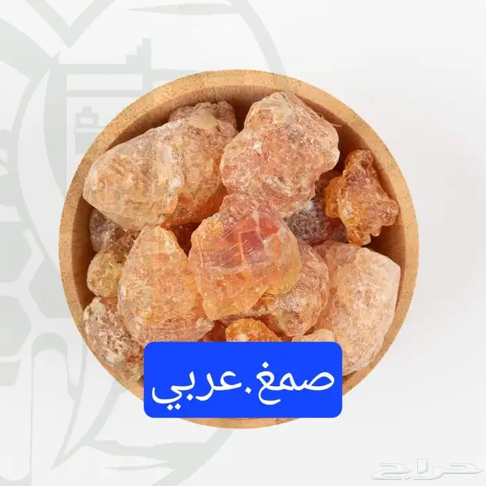 موسسه_الزهره_القرنفليه الجبيل 6