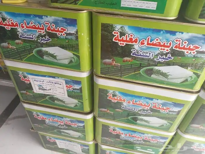 جبنه عرب مقليه 8