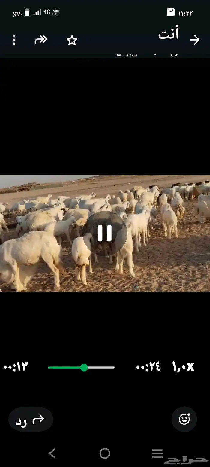 مقاني عددها 57 بلفحل تحتها 50 بهم جلب 1