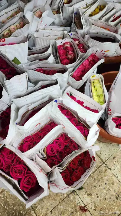 ورد طبيعي بالجمله 3 ريال 8