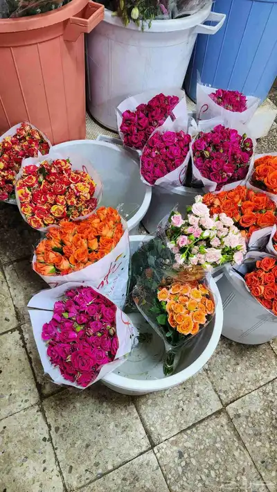 ورد طبيعي بالجمله 3 ريال 0