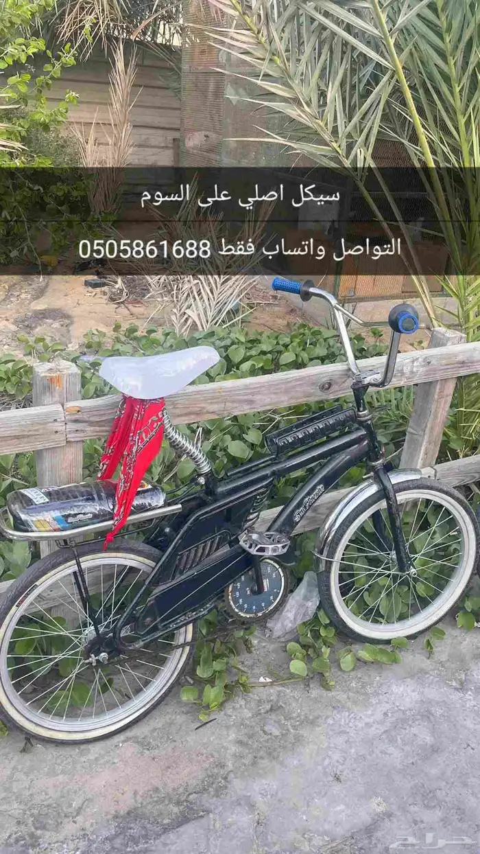 رامبو اصلي على السوم 0