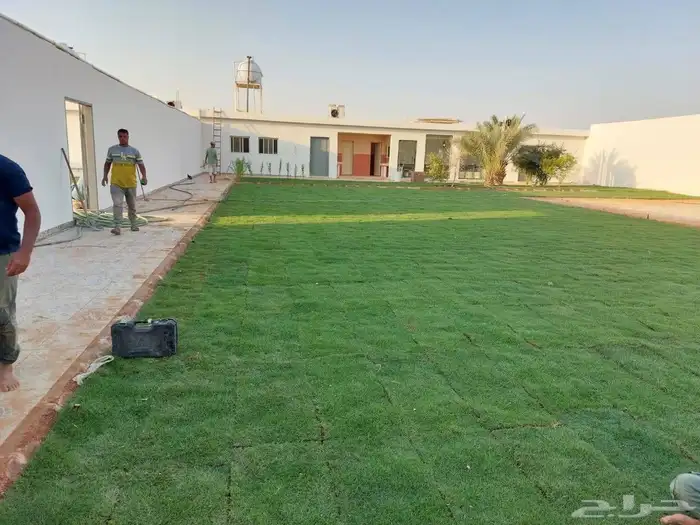 مقاول شبكات ري ثيل طبيعي تنسيق حدائق لاندسكيب 1