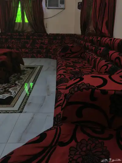 كنب 8