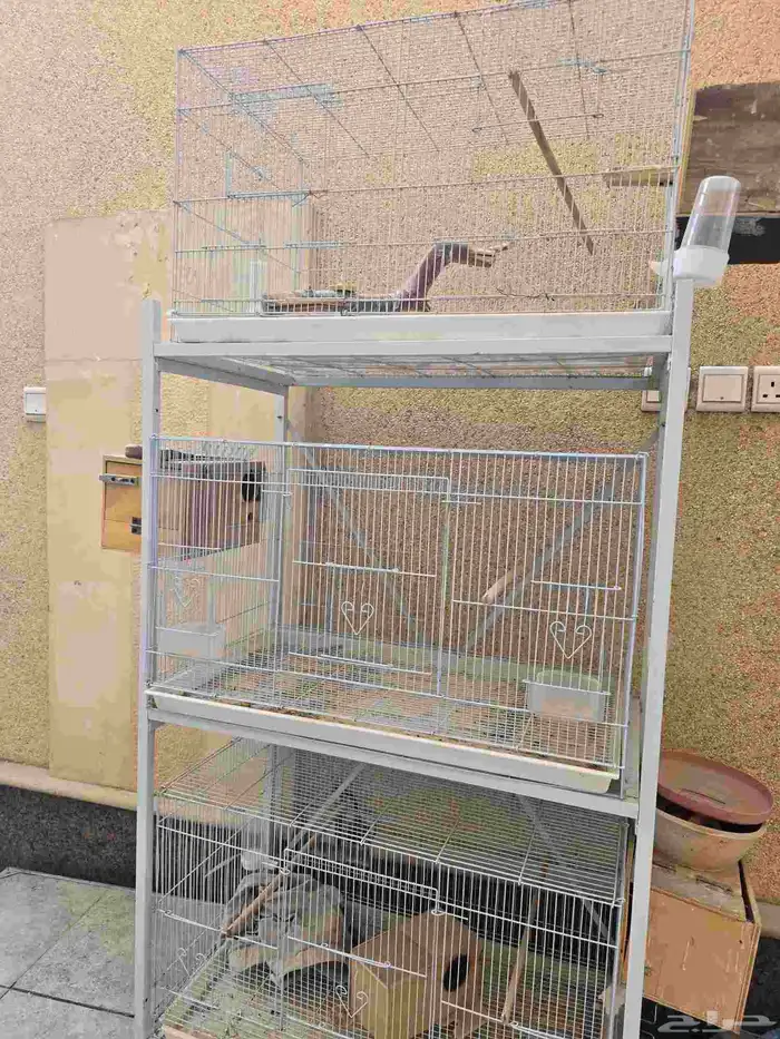 محكر ارفف مع شبوك للطيور 0