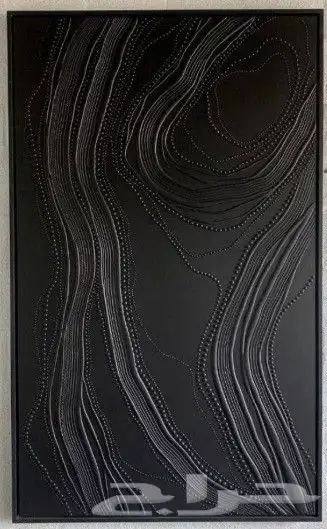لوحات فنية بأسلوب متميز 0