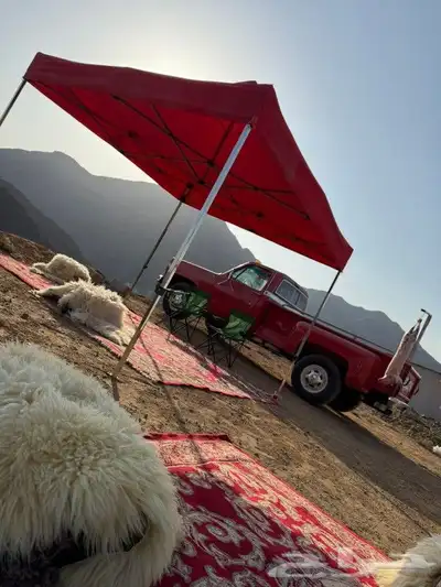 جمس 78 مكينه 6 لتر مفحوص نظيف على الشرط 2