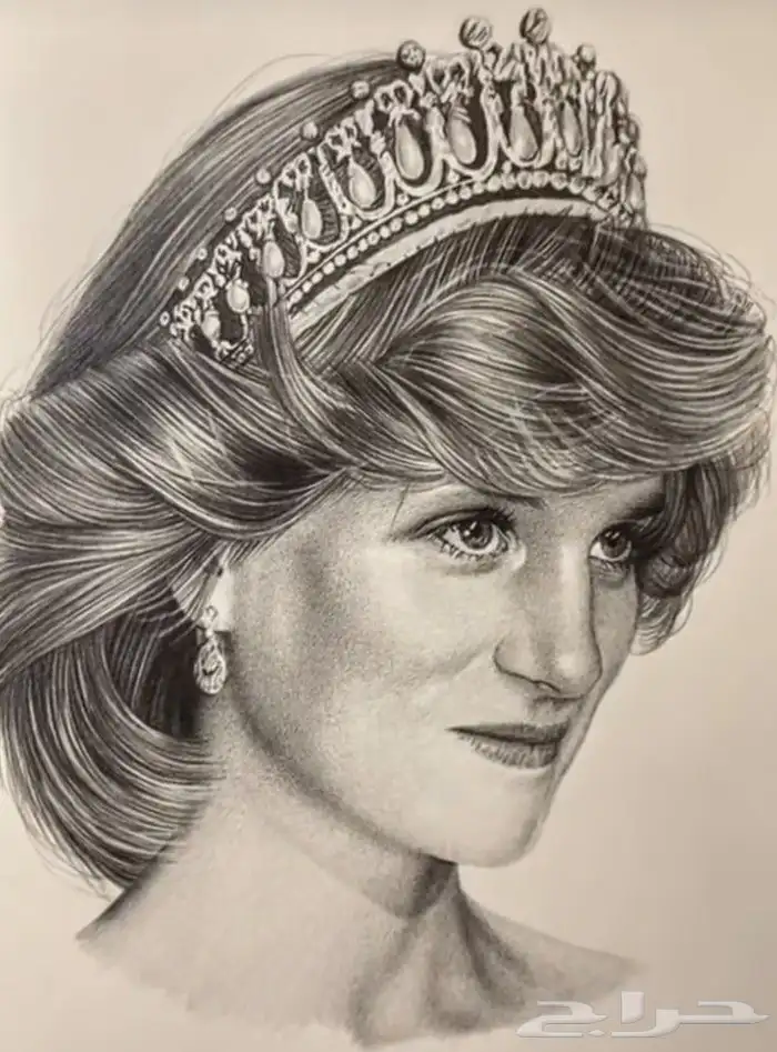 رسم فنان طبق الأصل 0
