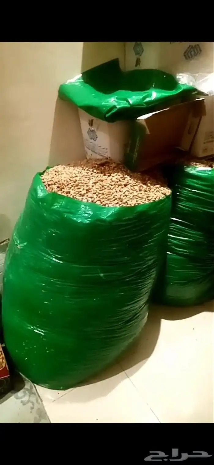 نوئ التمر البيع فيه كميه ارقم 0