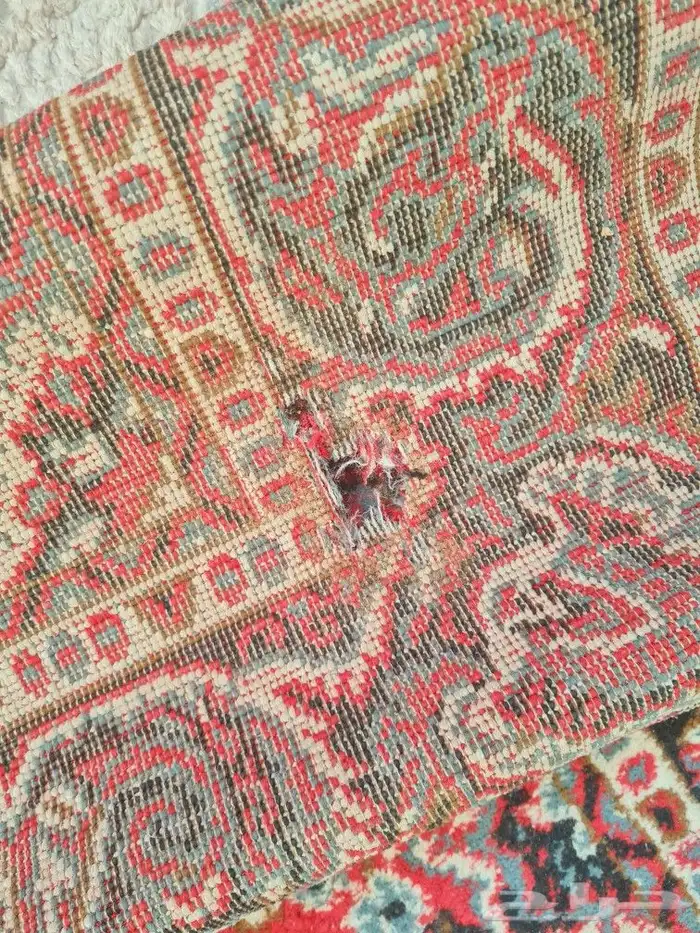 حبتين سجاد مناسبات فرشة للبر للحوش 2