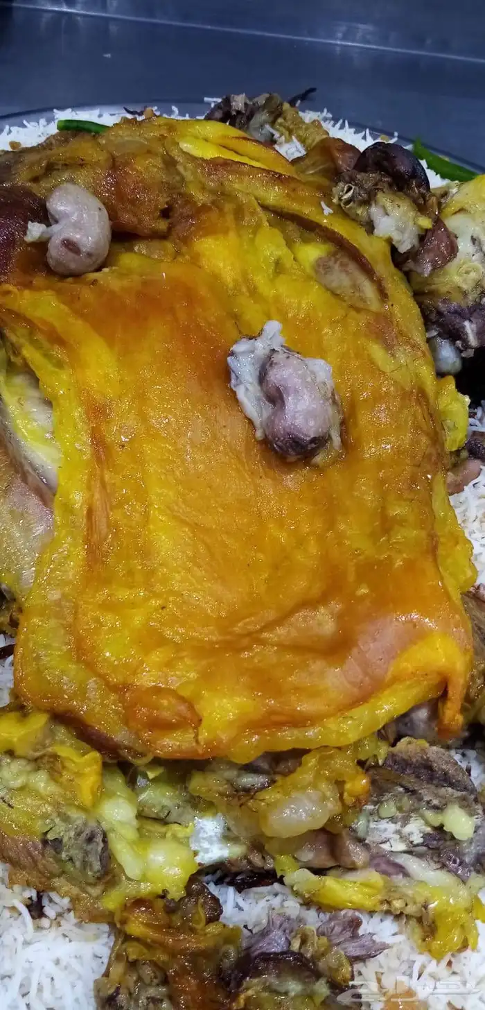 ابحث عن عمل معلم مندي وحنيذبلمرخ 5
