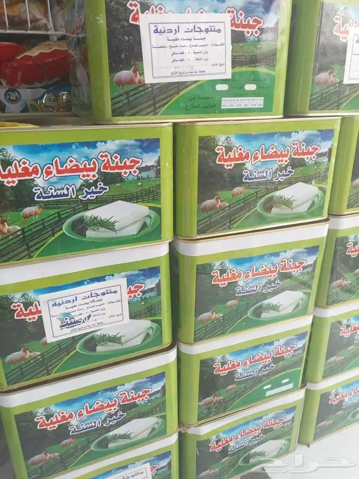 جبنه عرب مقليه 6