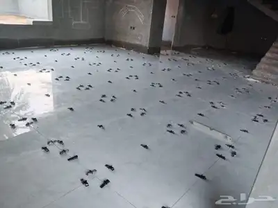 مبلط 0