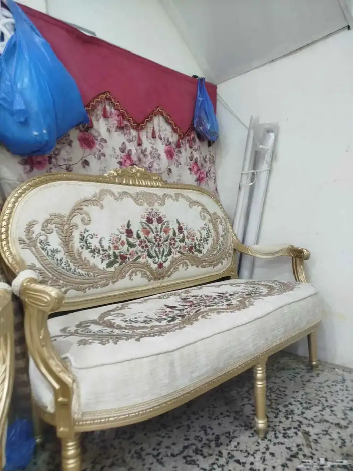 تلبيس كل شيء ترتيب مجلس عربيه جلسه ستاير 1