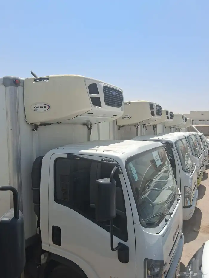 ايسوزو 11