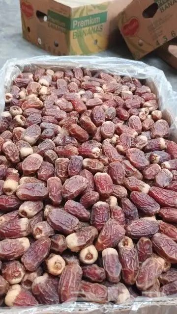 يوجد صقعي مبروم التواصل خاص 0