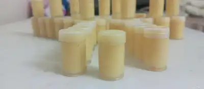غذاء ملكات بلدي. عالي الجوده. الله يبارك 0