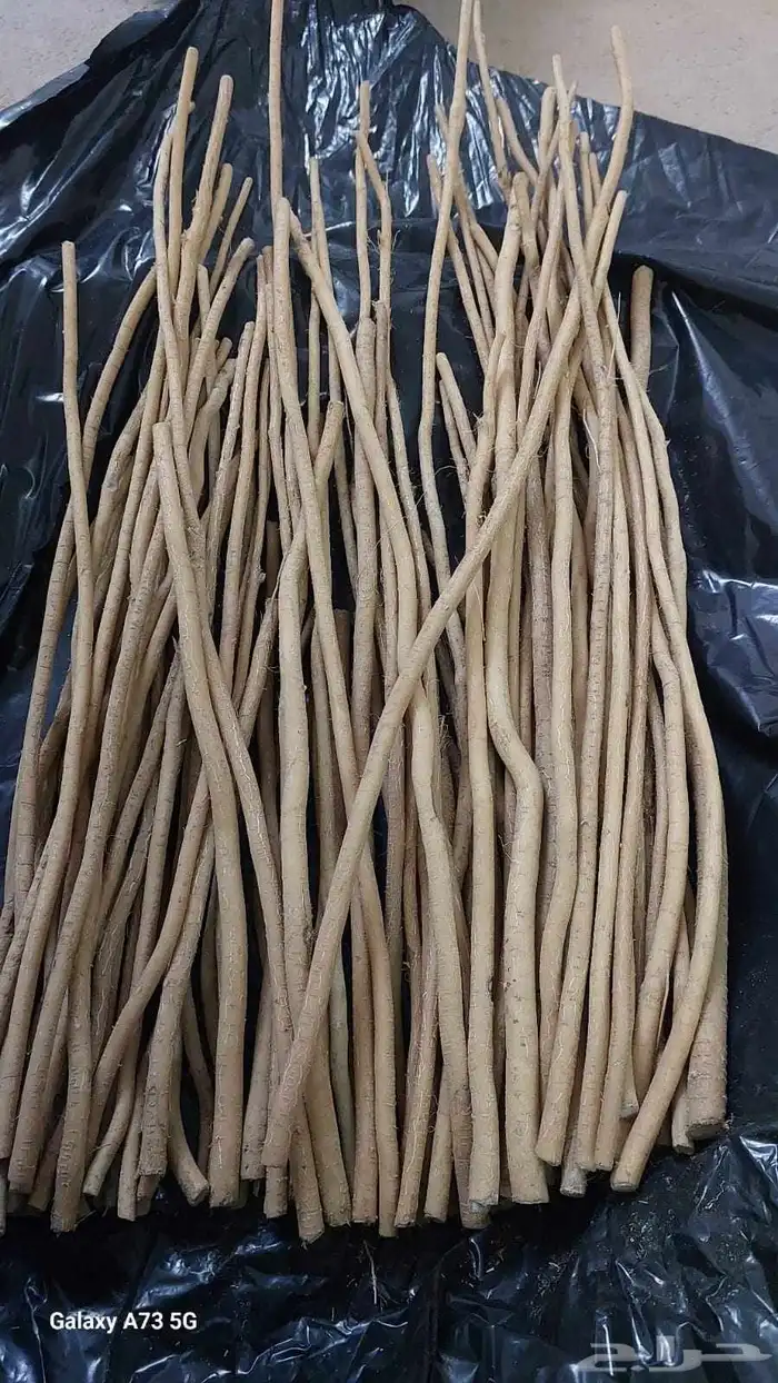 مساويك الاراك البلدي الحار أنظر للتقييم الزباين 1