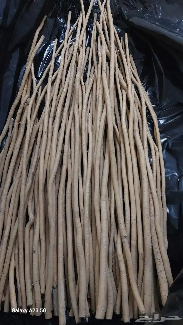 مساويك الاراك البلدي الحار أنظر للتقييم الزباين 2