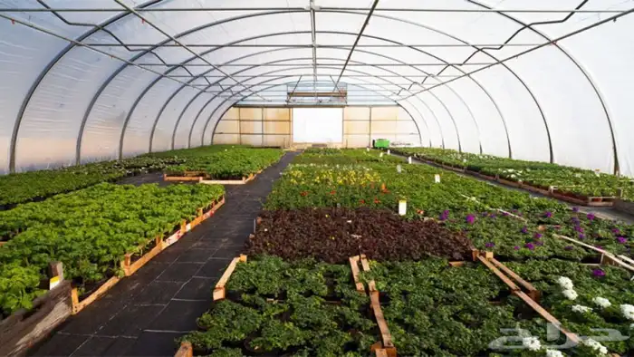 كل ما يخص البيوت المحمية والصالات الزراعيه 4