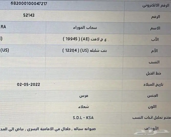 فرس_واهو 4