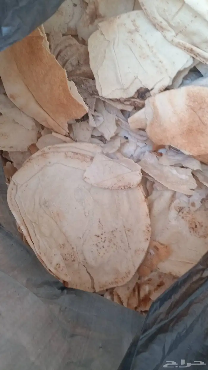 خبز ناشف للبيع نظيف مفيه شي 0