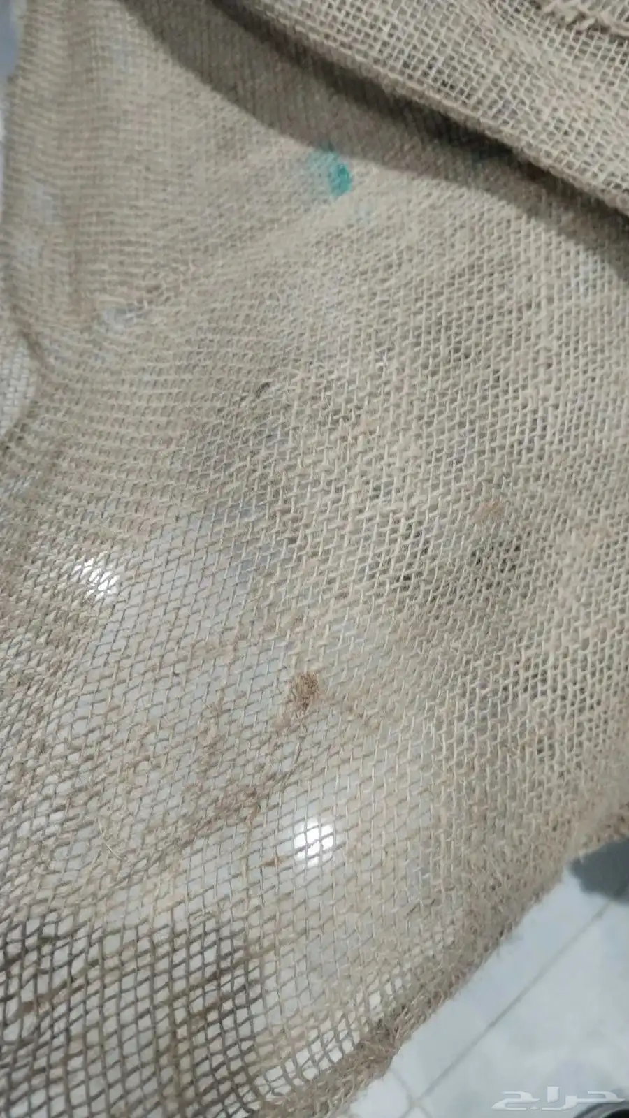 خيش هندي وصيني 4