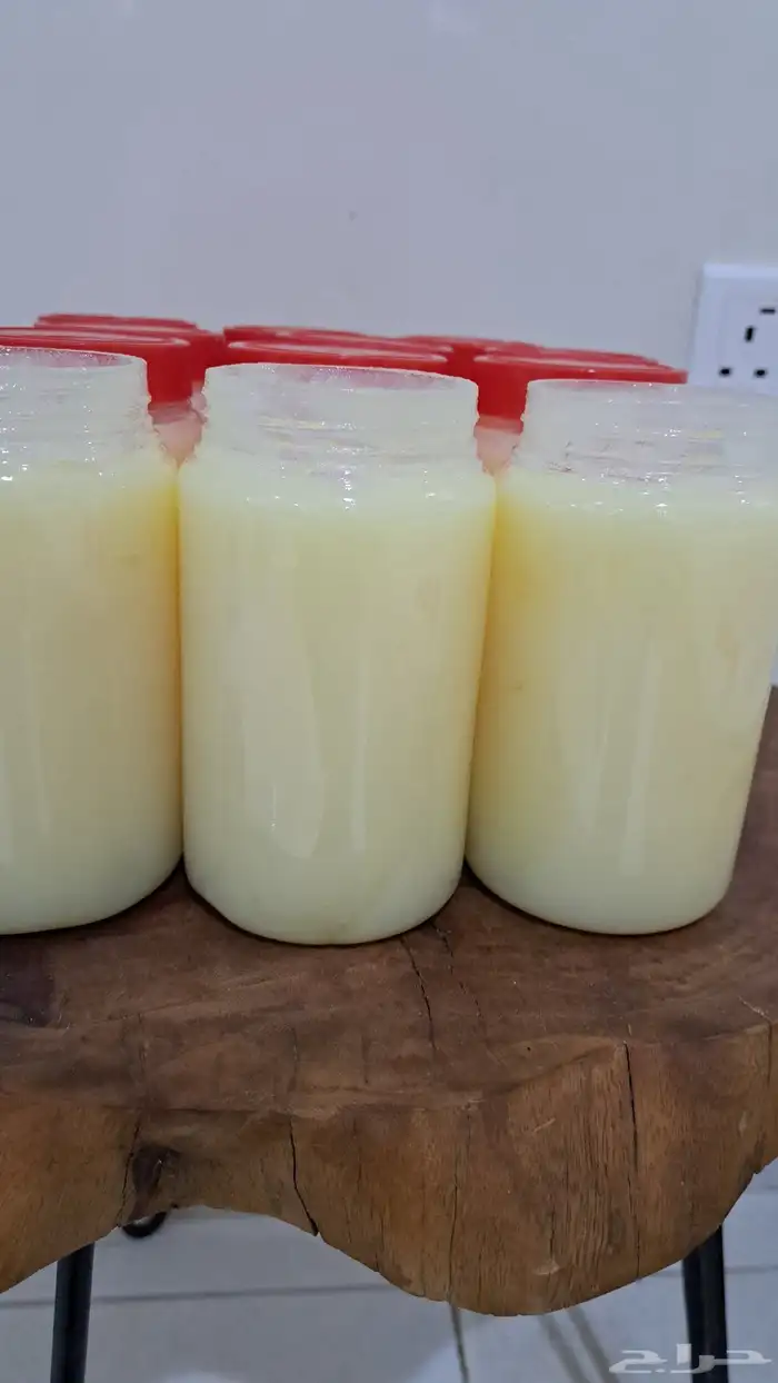 سمن معزه بري 2