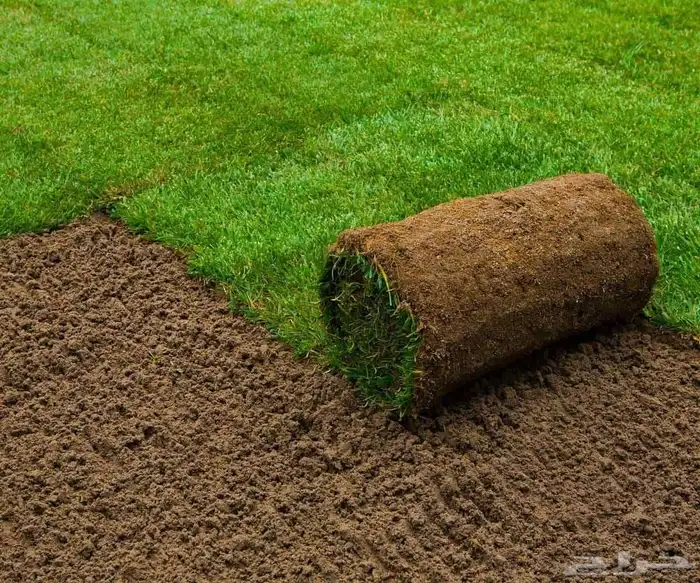 ثيل طبيعي مزرعه الرضوى 6