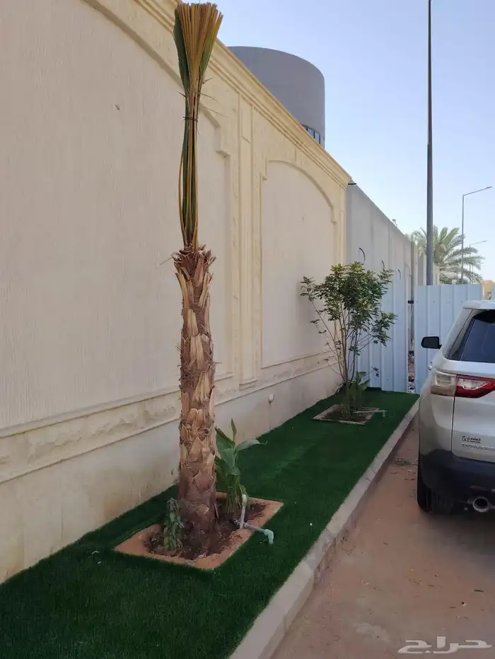 ازالة ترتيب النخيل والاشجارو 7