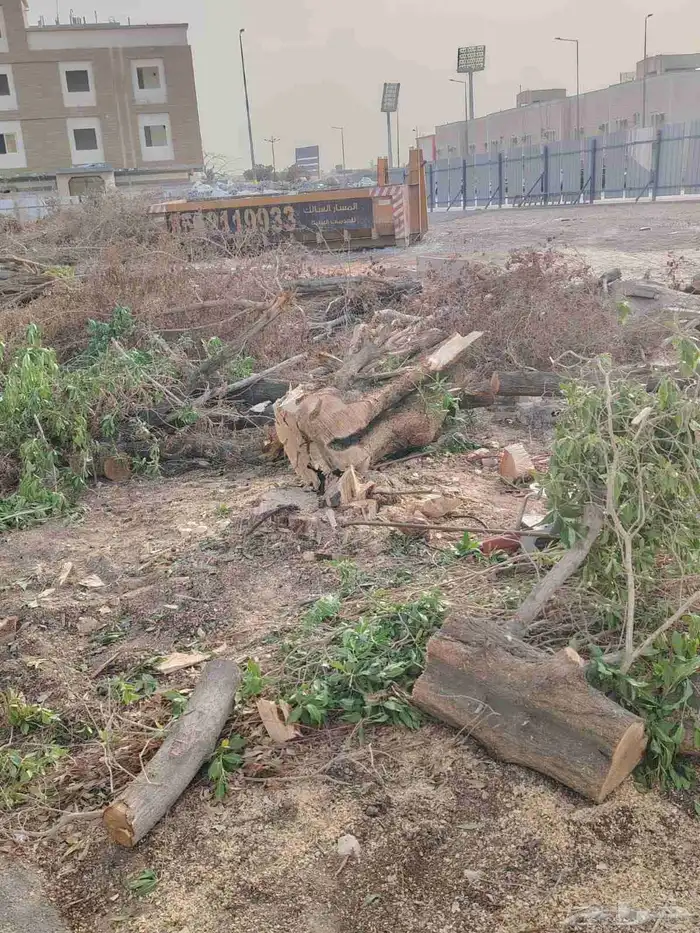 ازالة ترتيب النخيل والاشجارو 3