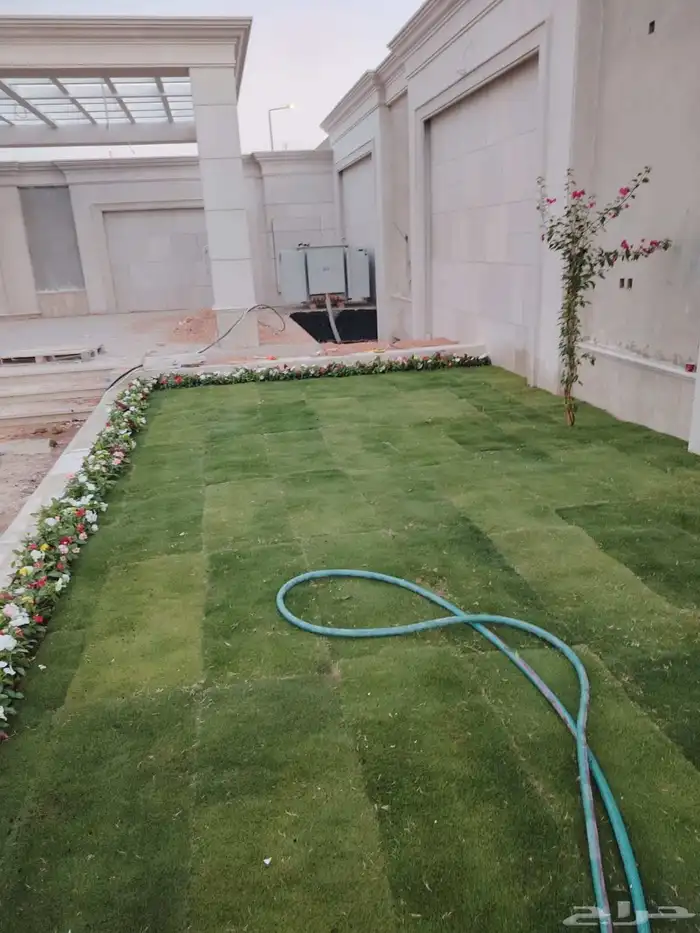 ازالة ترتيب النخيل والاشجارو 0