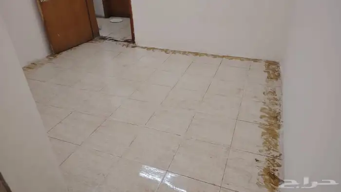 للايجار غرفه عزاب بحي العدامه شامل المويه والكهرباء 620 1