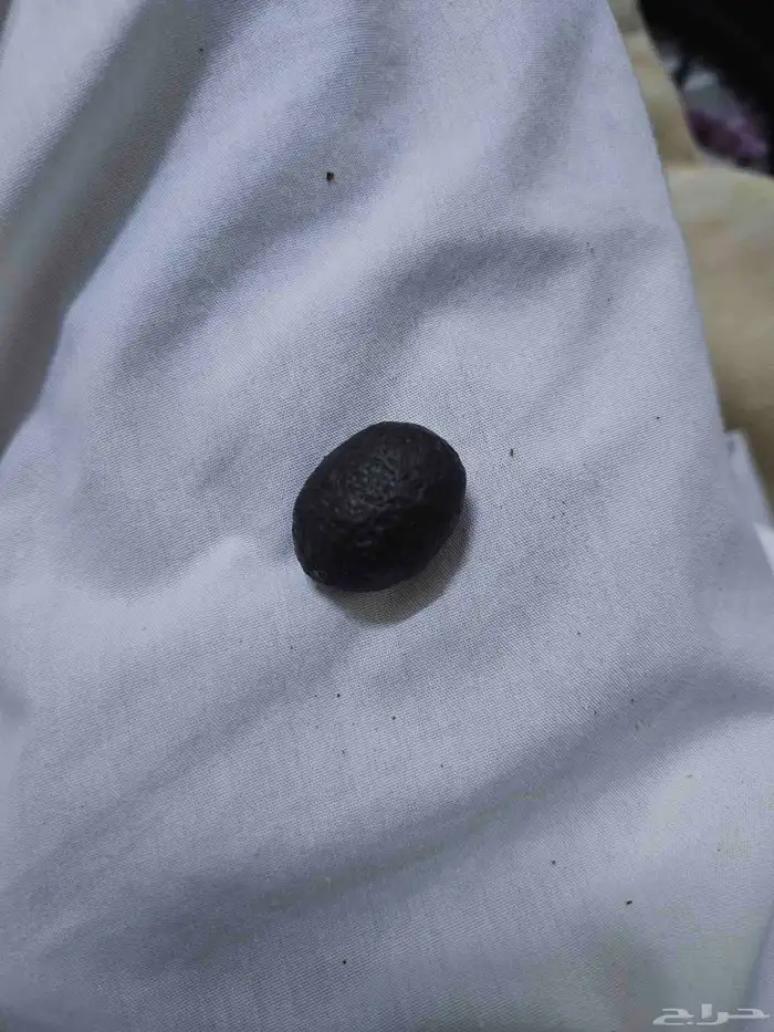 حجر شا مان 0