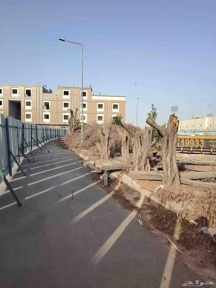 ازالة ترتيب النخيل والاشجارو 8