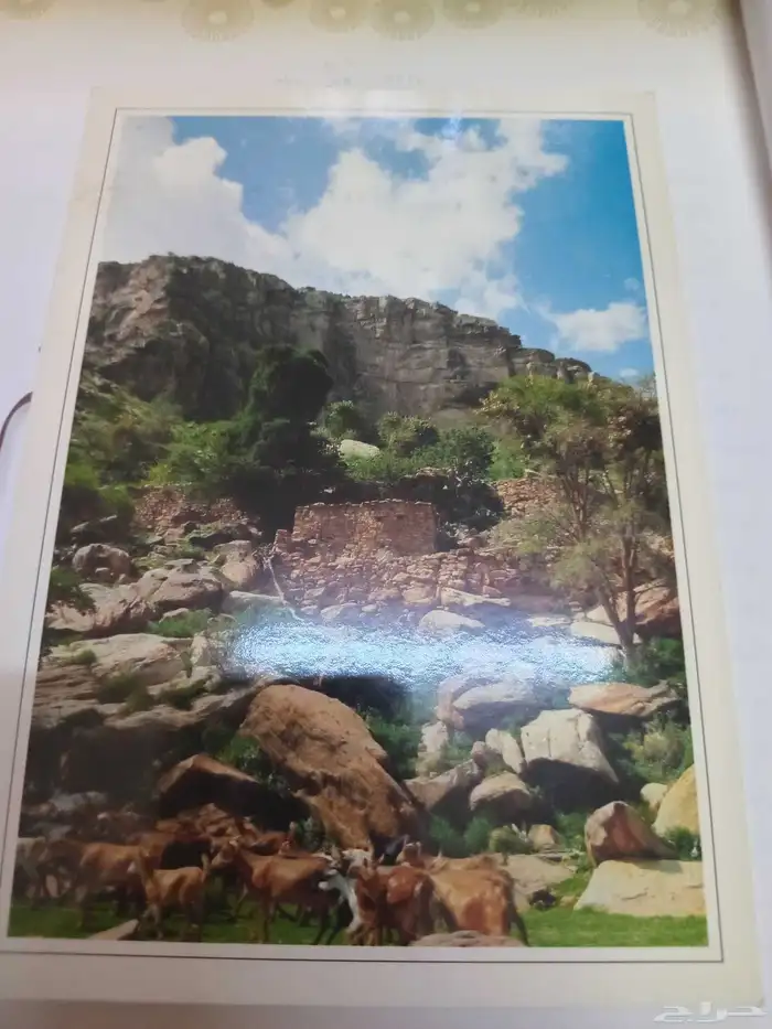 صور قديمه ع 5 ريال الحبه قلم رصاص قديم ومسطره قديمه 34