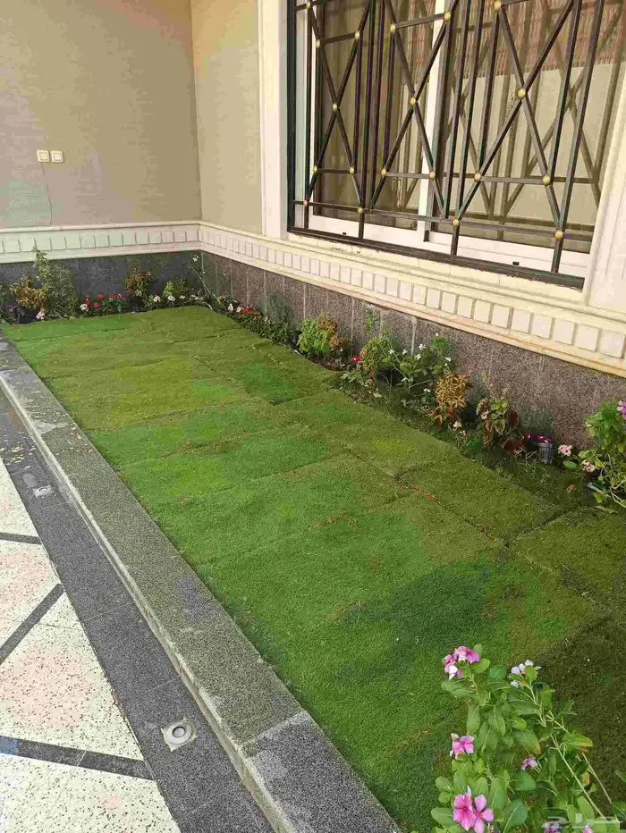 تنسيق وصيانة الحدائق وتوصيل مجاني داخل الرياض 3