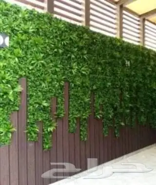 تنسيق حدائق ابوعريش صبيا جيزان احدمسارحه عشب صناعي انجيله 25