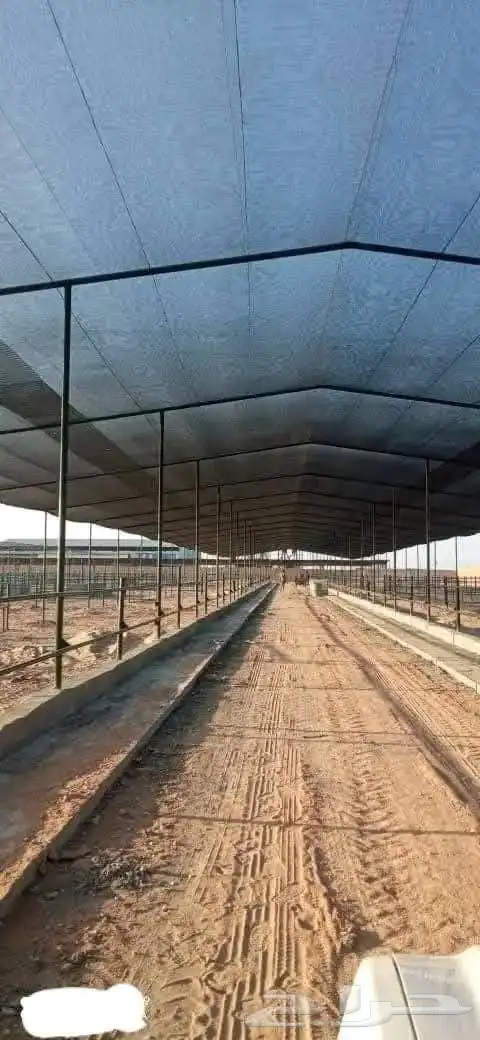 بيوت محمية مشاتل صالات 19