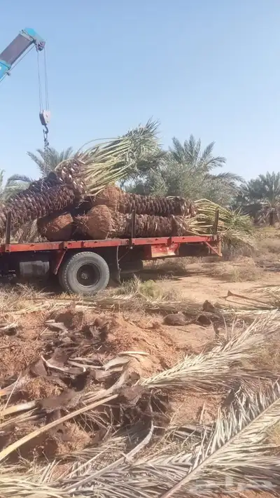 لدينا جميع المقاسات 6 متر 6 م 50 متر 3 م 7