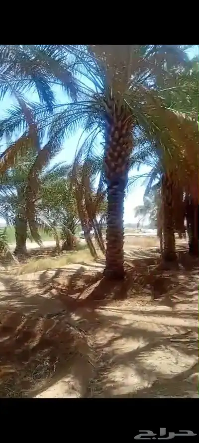 لدينا جميع المقاسات 6 متر 6 م 50 متر 3 م 3