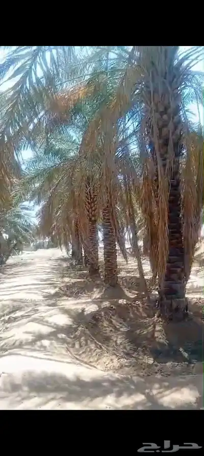 لدينا جميع المقاسات 6 متر 6 م 50 متر 3 م 1