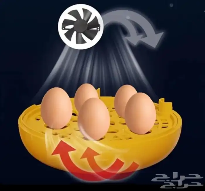 فقاسة صغيرة عدد 5 بيضات 15